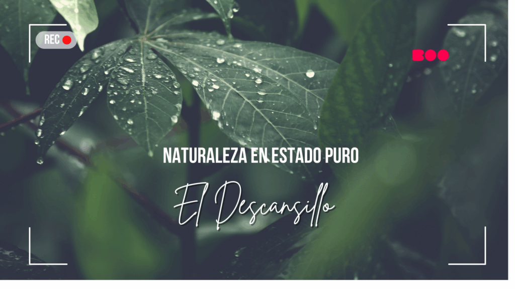 Escapada Primaveral a El Descansillo: Naturaleza en Estado Puro