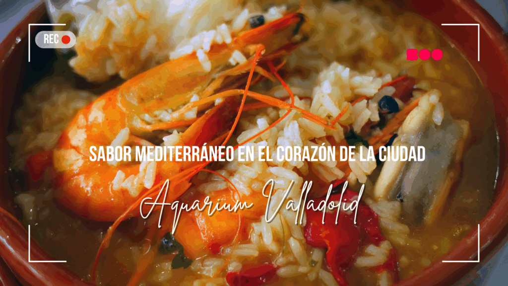 Aquarium Valladolid: sabor mediterráneo en el corazón de la ciudad